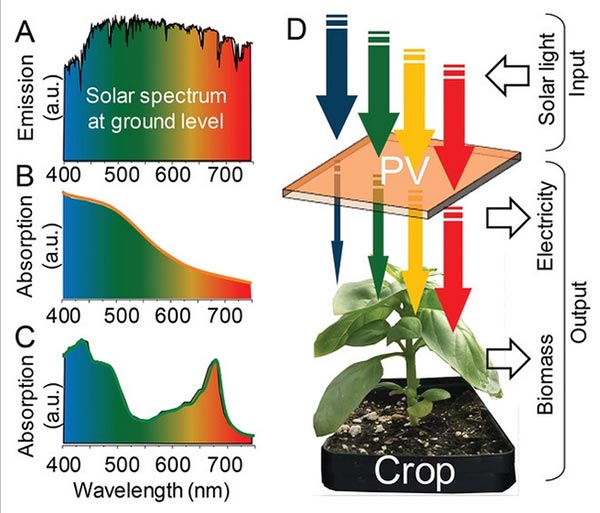 Spectre du rayonnement solaire et d'absorption d'un panneau solaire photovoltaïque