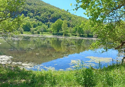 Zone humide : restauration durable de l'ancienne Gravière d'Espagnac Sainte-Eulalie en annexe de la rivière du Célé