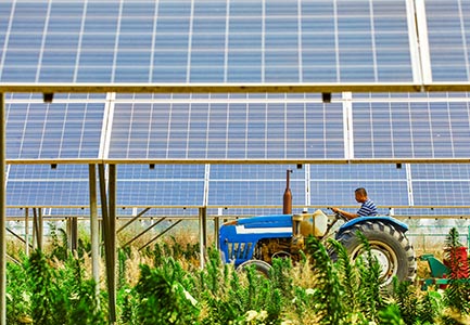 Agrivoltaïsme : quelles modalités de partage de la ressource solaire ?