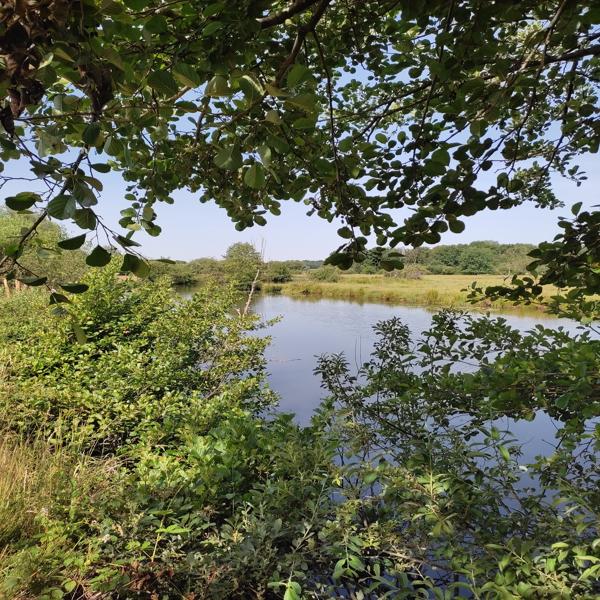 Restaurer un gisement de biodiversité de 17 hectares