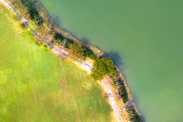 Mesures compensatoires et renaturation de sites